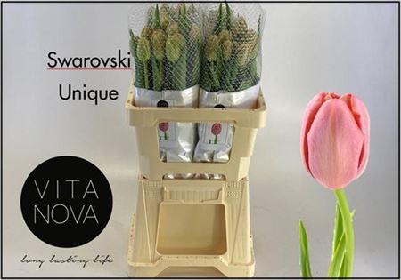 Тюльпан Swarovski